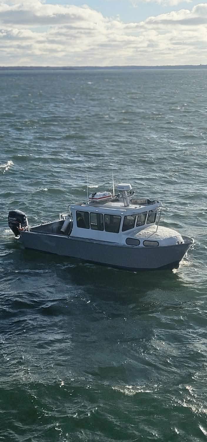 Dahlstock Shipping AB, Snarke